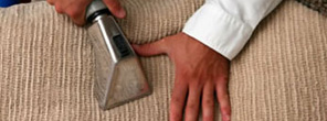 Upholstery Cleaning Services
